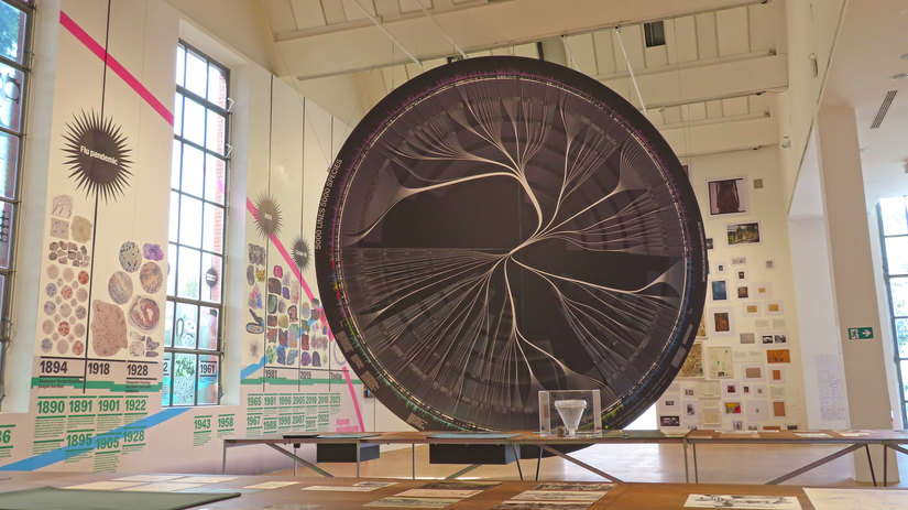 Photo credit: Stefano Brigati 