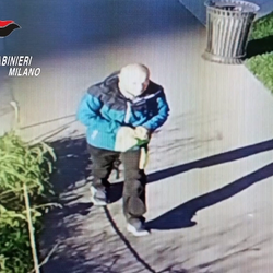 Un frame del video diffuso dai carabinieri. Chi lo riconosce avverta subito le forze dell'ordine 