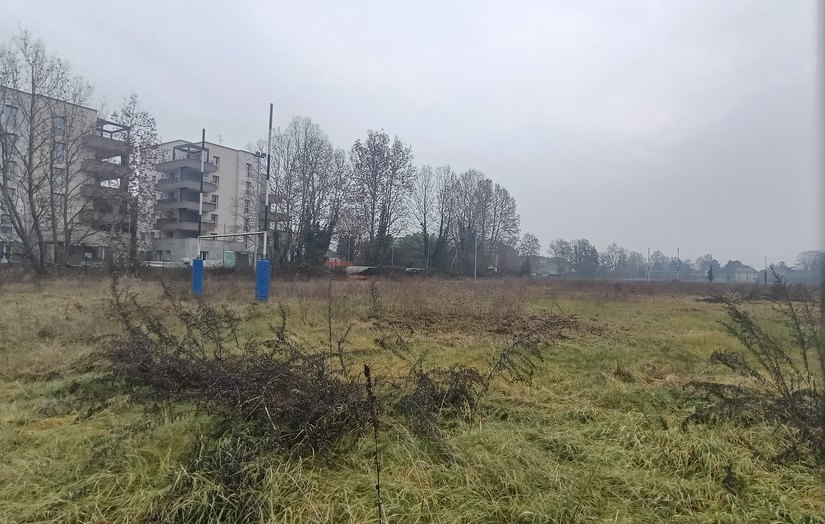 Lo stato di degrado e abbandono dell'area 