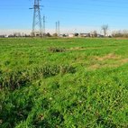 Marcita nel mese di Dicembre