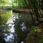 Fontanile Rile