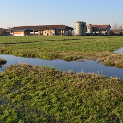 L'ultima marcita di Settala 