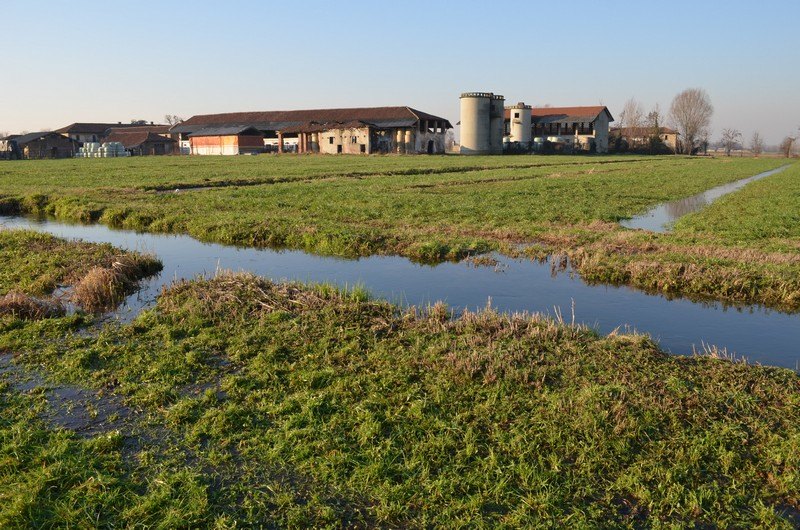L'ultima marcita di Settala 