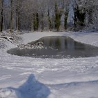 Nevicata