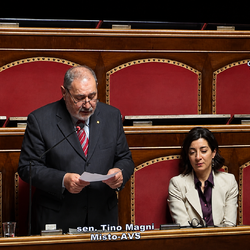 Senatore Tino Magni (AVS) 