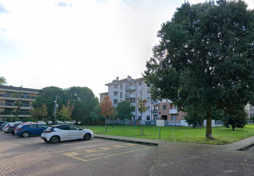 Caso di Dengue a San Donato Milanese, disinfestazione a Metanopoli 