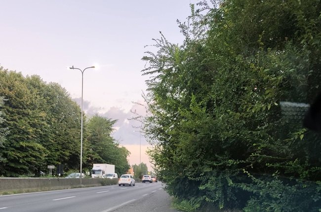 La vegetazione cresce incontrollata sulla Paullese 
