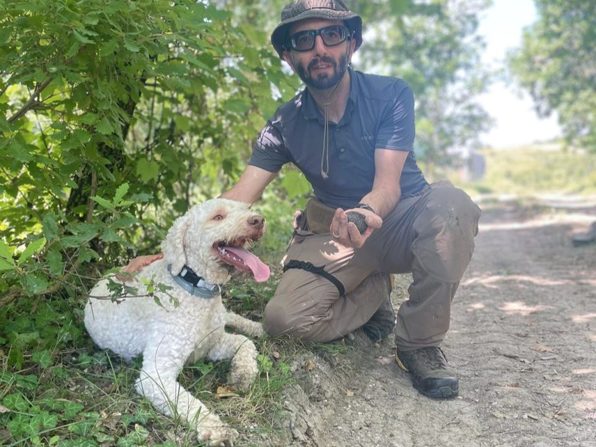 Corso per cani da tartufo a Rivolta d'Adda 
