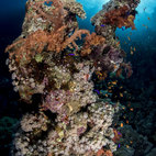 I misteri del mare