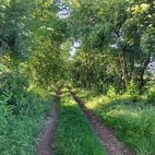 Parco del Roccolo