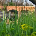 Parco del Roccolo