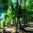 Parco del Roccolo
