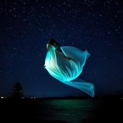 Angelika Kallenbach, Fly, 2024 