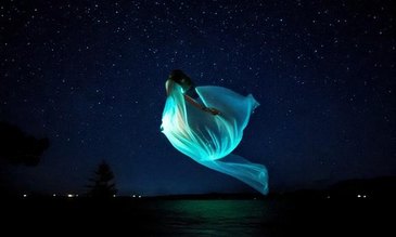 Angelika Kallenbach, Fly, 2024 