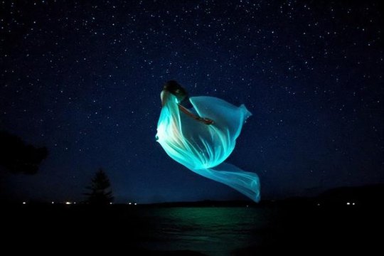 Angelika Kallenbach, Fly, 2024 