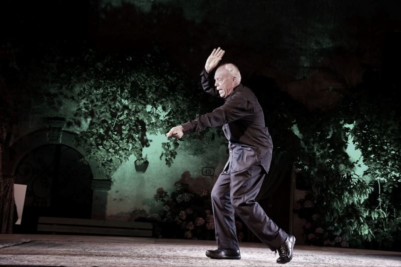 Mario Pirovano in scena 