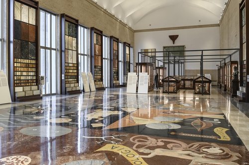 le Collezioni ISPRA > Un museo multispecie, veduta dell'allestimento 
