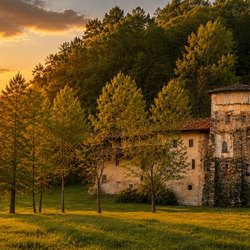 Festa del Solstizio d'Estate 