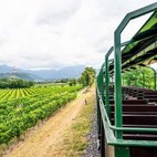 Carrozze panoramiche