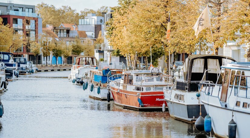 Herfst2023_Mechelen_Dijle_(c)_Stef Keynen (7) 