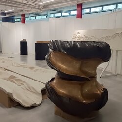 Foto allestimento della mostra 