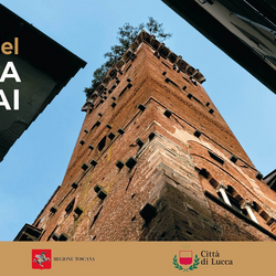 Incontri del cinema d'essai di Lucca 2026 
