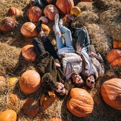 Campi di zucca 2026 
