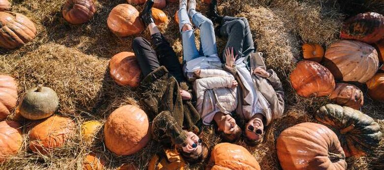 Campi di zucca 2026 