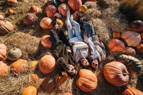 Campi di zucca 2026 