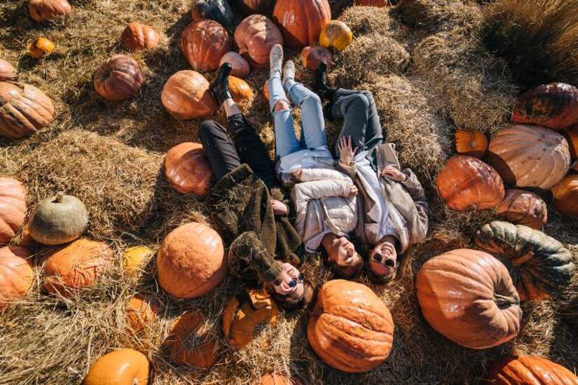 Campi di zucca 2026 