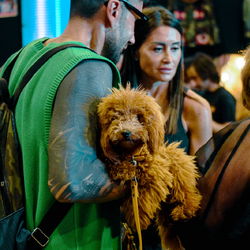 East Market presenta Pet Market, uno spazio dedicato agli animali domestici 