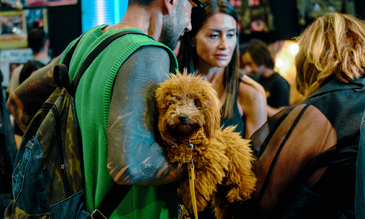 East Market presenta Pet Market, uno spazio dedicato agli animali domestici 