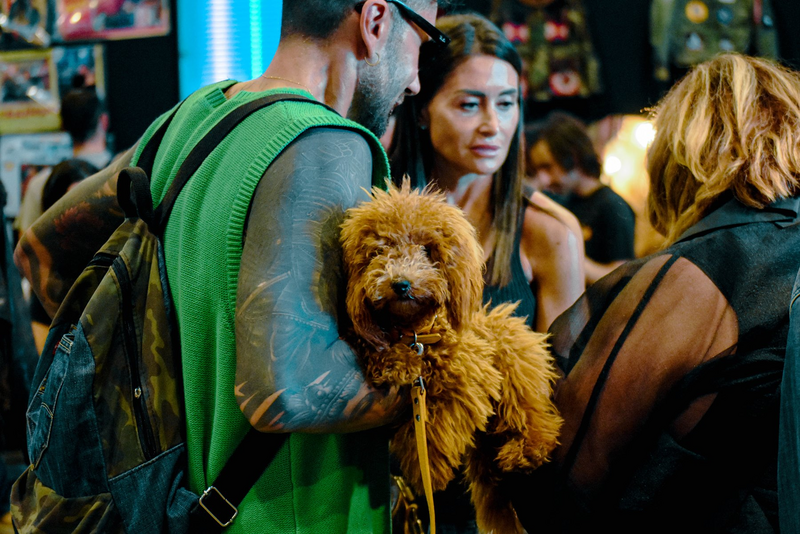 East Market presenta Pet Market, uno spazio dedicato agli animali domestici 