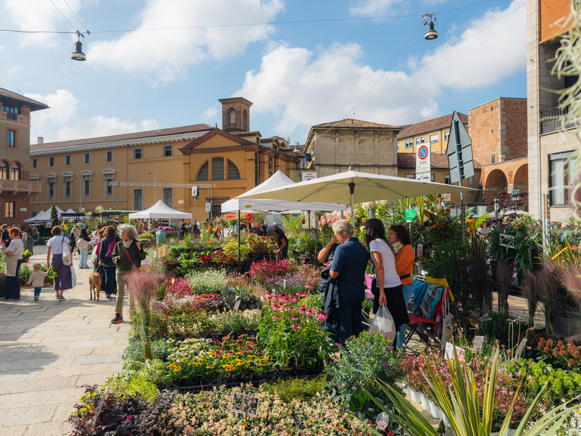 Flora et Decora colora di verde piazza Sant’Ambrogio 