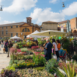 Flora et Decora colora di verde piazza Sant’Ambrogio 