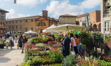 Flora et Decora colora di verde piazza Sant’Ambrogio 