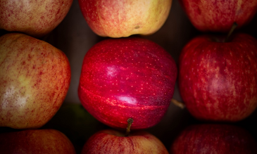 Frutta di stagione a Cascina Cuccagna, che ospita il confronto sul cibo 