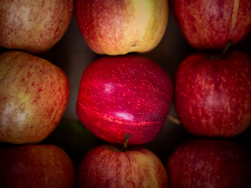Frutta di stagione a Cascina Cuccagna, che ospita il confronto sul cibo 