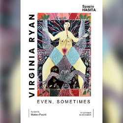 L'immagine della mostra «Even, Sometimes» di Virginia Ryan a Spazio Hasita 