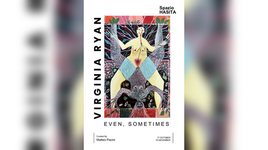 L'immagine della mostra «Even, Sometimes» di Virginia Ryan a Spazio Hasita 