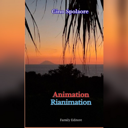 La copertina di «Animation Rianimation» di Gino Spolaore 