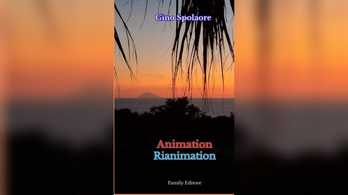 La copertina di «Animation Rianimation» di Gino Spolaore 