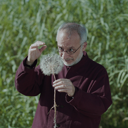 Una scena di «Holy Wood Dust» di Victor Kossakovsky 