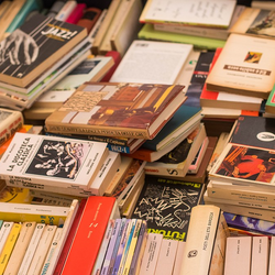 Libri usati in vendita a Salvalibro 