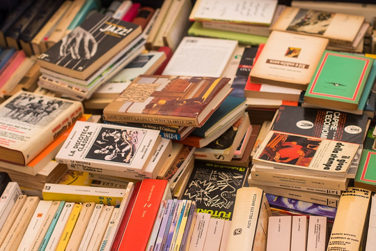 Libri usati in vendita a Salvalibro 
