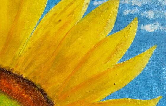 Il girasole 