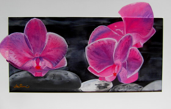 LE ORCHIDEE 