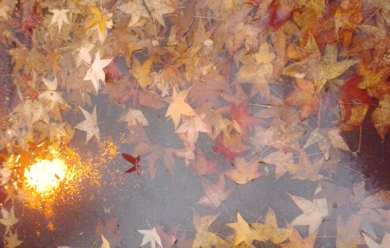 La mia versione dell' Autunno 