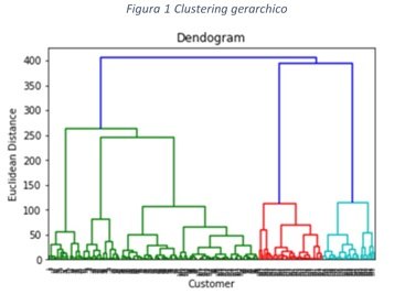Fig.4 Clustering Gerarchico 