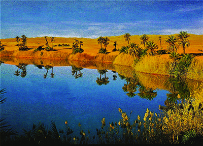 Una oasi nel deserto 